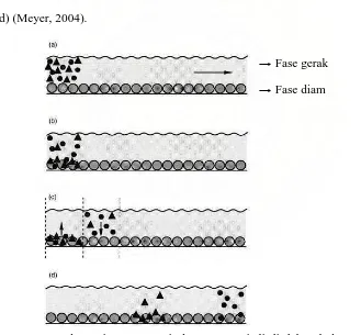 Gambar 3. Ilustrasi proses pemisahan yang terjadi di dalam kolom KCKT. (sumber: Meyer, V.R
