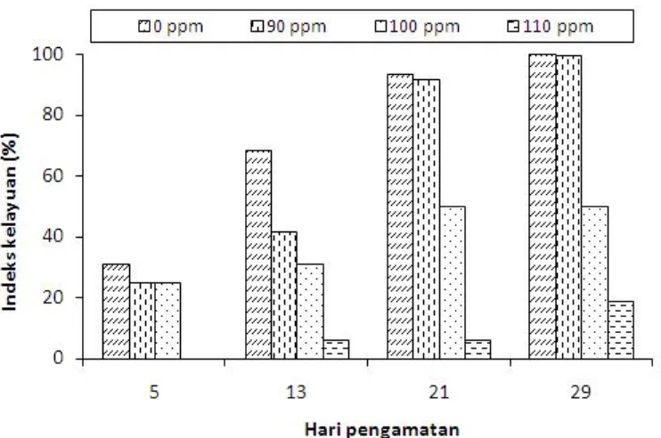 Gambar 3. Histogram hubungan antara hari pengamatan dengan indeks kelayuan (%) pada hari ke-5, 13, 21,dan 29.