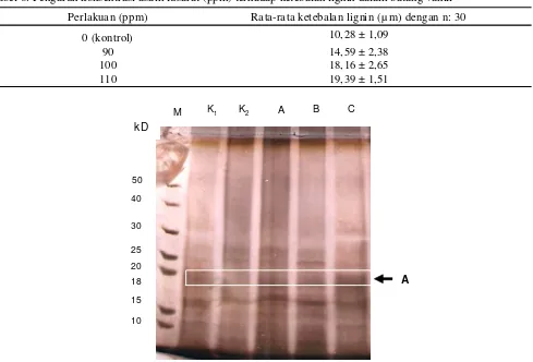 Tabel 6. Pengaruh konsentrasi asam fusarat (ppm) terhadap ketebalan lignin dalam batang vanili