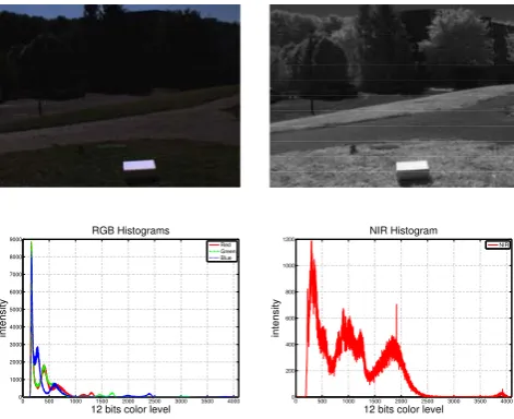 Fig. 4.Visible and near-infrared raw images from modiﬁed Canon S3IS.