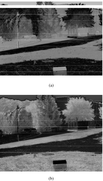 Fig. 6.Visible and near-infrared images from JAI AD-80-GE after calibra-tion.