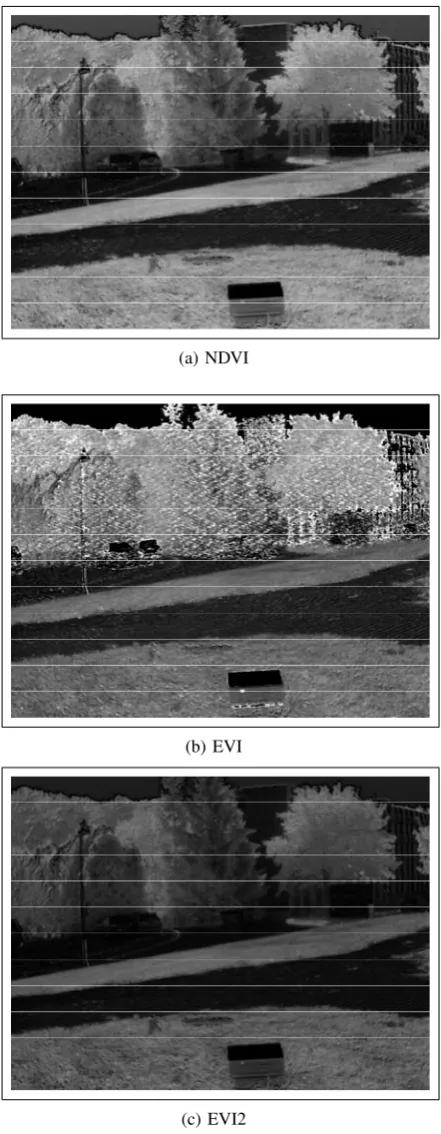 Fig. 8.Computation of vegetation indices with images from the Canon3SIS system. Indices images are not rectangular because of the registrationwe performed on RGB and IR images.