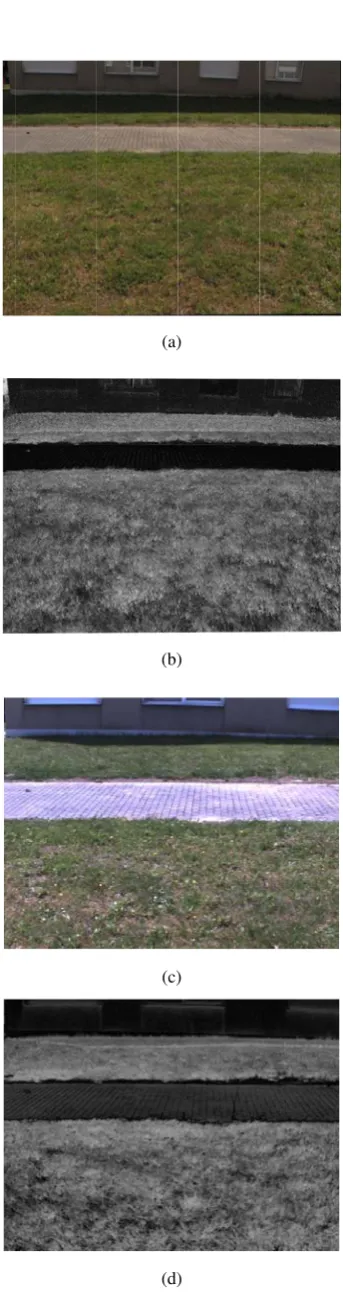 Fig. 10.NDVI comparison of the same scene acquired.(a) RGB sceneacquired with the Canon 3SIS system and (b) the corresponding computedNDVI
