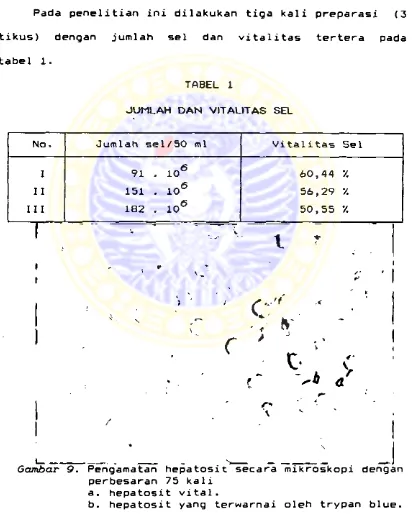 tabel 1.TABEL 1 