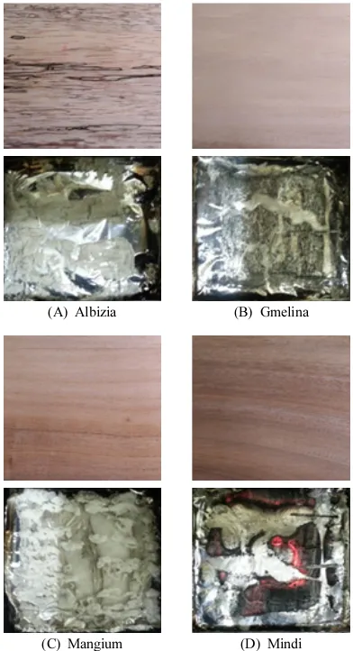 Fig. 3. Sample images before (top) and after (bottom) combustion test in wood samples.