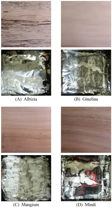 Fig. 3. Sample images before (top) and after (bottom) combustion test in wood samples.