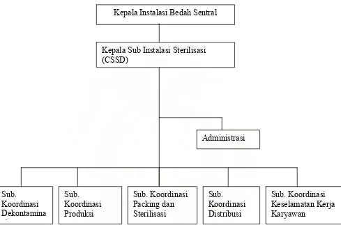 Gambar 3. Struktur Organisasi Central Sterilized Supply Department (CSSD) RSUP Dr. Hasan Sadikin Bandung  