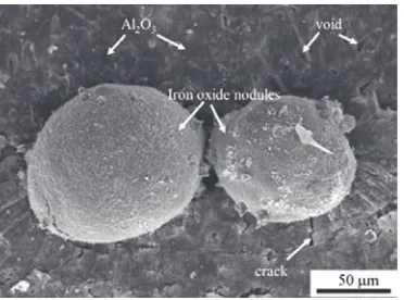 FIGURE 2. Surface morphology of the Al-coated specimen following oxidation at 850�C for 15 h showing the growth of iron oxide nodules 