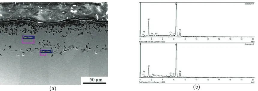 FIGURE 4. (a) SEM cross-sectional micrograph of Al-coated specimen oxidized at 850°C for 36 h and (b) its corresponding EDS line profiles of Fe, Al, Cr, O, and Mo