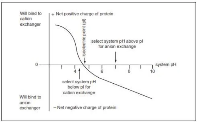 Figure 1. Net charge of protein as a function of pH [3]. 
