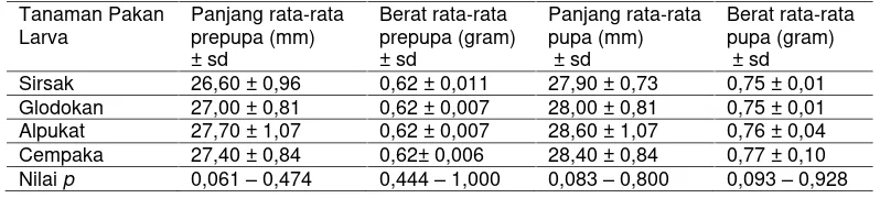 Tabel 6. Panjang dan berat rata-rata prepupa dan pupa Graphium doson