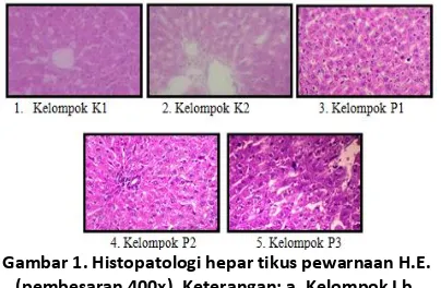 Gambar 1. Histopatologi hepar tikus pewarnaan H.E. (pembesaran 400x). Keterangan: a. Kelompok I b