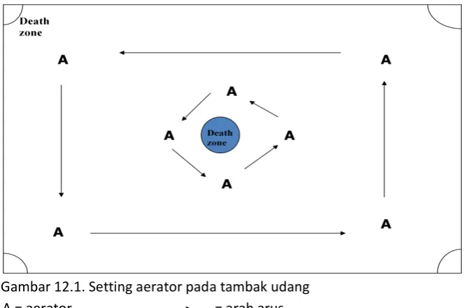 Gambar 12.1. Setting aerator pada tambak udang 