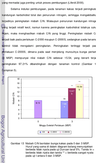 Gambar 13  Nisbah C/N bantalan bunga kakao pada 0 dan 3 MSP.  Huruf yang sama di dalam diagram batang menunjukkan berbeda tidak nyata pada uji Duncan taraf 5%