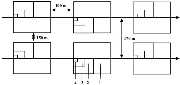 Gambar 1. Desain petak contoh menggunakan metode garis berpetak yang digunakan dalam penelitian