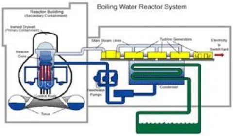 Gambar 4 Skema Reaktor Boiling Water Reactor (BWR)