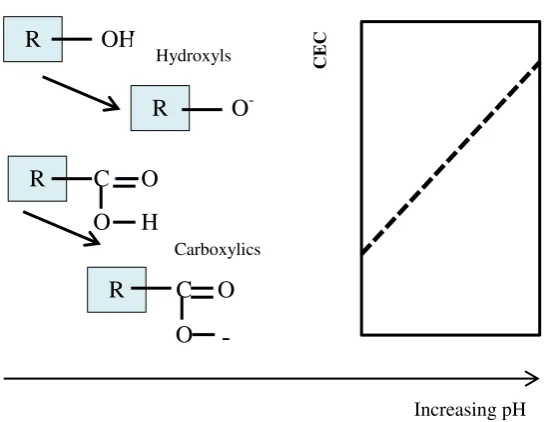 Fig. 2.4.  The development of negative charges of organic matters origin with phenolic functional groups
