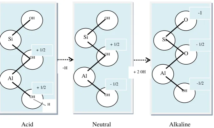 Fig. 2.6.  The development of negative charges of 1:1 silicate clay minerals (Bohn et al., 1985)
