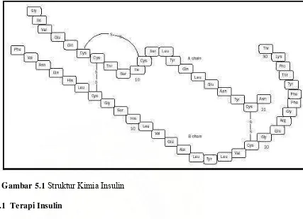 Gambar 5.1 Struktur Kimia Insulin 