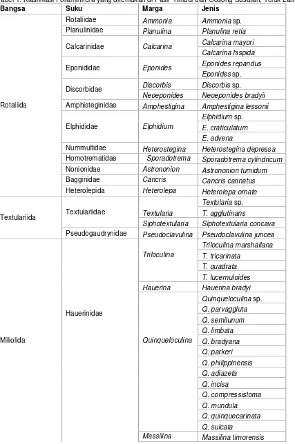 Tabel 1. Klasifikasi Foraminifera yang ditemukan di Pasir Timbul dan Gosong Susutan, Teluk Lampung