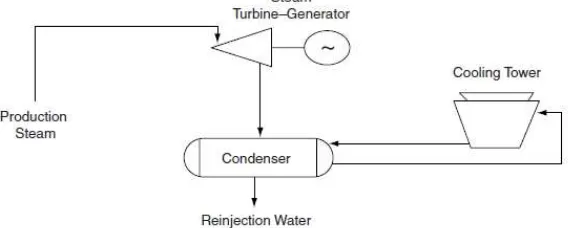 Gambar 02. Diagram alir dari sistem direct steam conversion. 