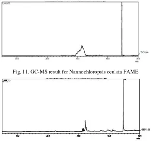 Fig. 11. GC-MS result for Nannochloropsis oculata FAME 