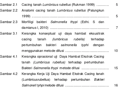 Gambar 2.1 Cacing tanah Lumbricus rubellus (Rukman 1999)  .............  