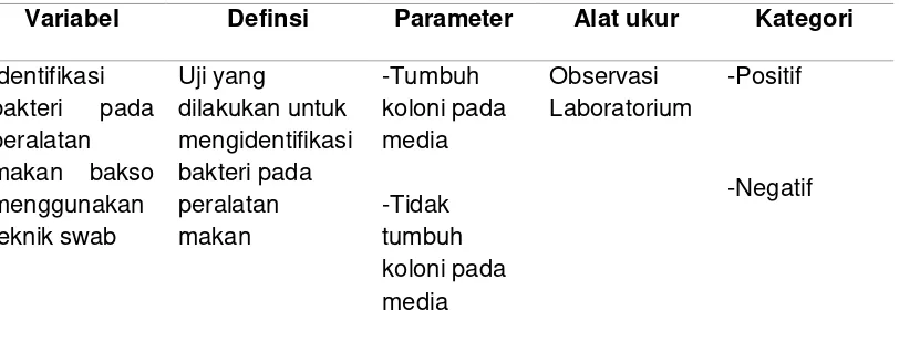 Tabel 4.1 Definisi Operasional identifikasi Bakteri pada Peralatan Makan yang Digunakan Oleh  Pedagang Bakso Menggunakan Teknik Swab di Alun-alun Kabupaten Jombang 