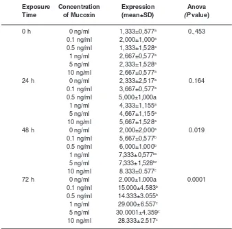 Tabel 2: Expression level of Bax protein in T47Dbreast cancer cellstreated with mucoxin with different concentrations at different exposure times