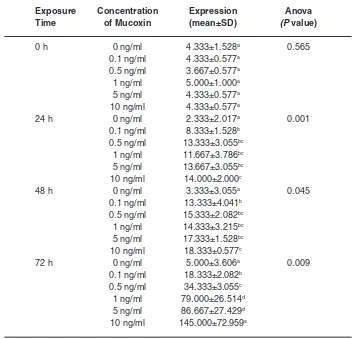 Tabel 3: Expression level of p53cellstreated  with mucoxin with differentconcentrations at different  protein in T47D breast cancer exposure times