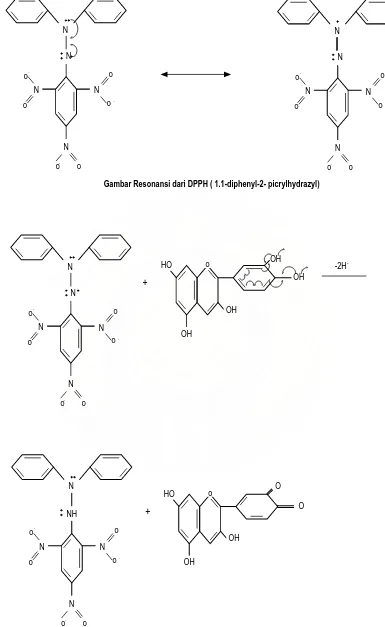 Gambar Resonansi dari DPPH ( 1.1-diphenyl-2- picrylhydrazyl)