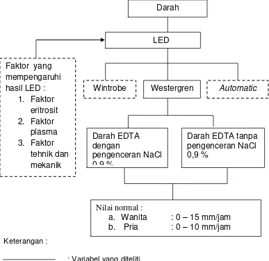Gambar 3.1 : Kerangka konseptual tentang “Perbedaan Pemeriksaan LED Metode Westergren Darah EDTA menggunakan pengenceran NaCl 0,9 % dan tanpa menggunakan pengenceran NaCl 0,9 %