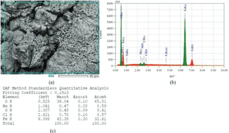 FIGURE 6. (a) SEM surface morphology of AISI 1020 steel with mixtures of 70/30 wt.% (NaCl/Na2SO4) deposit after hot corrosion 