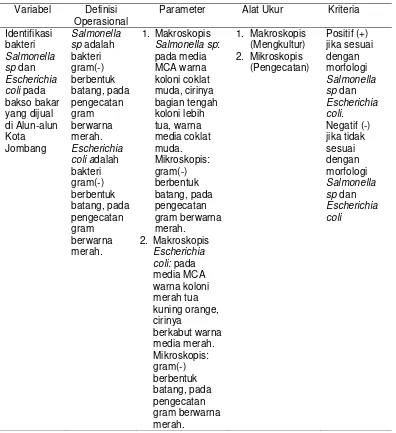 Tabel 4.1 Definisi Operasional Penelitian Identifikasi bakteri Salmonella sp dan Escherichia coli pada Baksobakaryang dijual di Alun-alun Kota Jombang