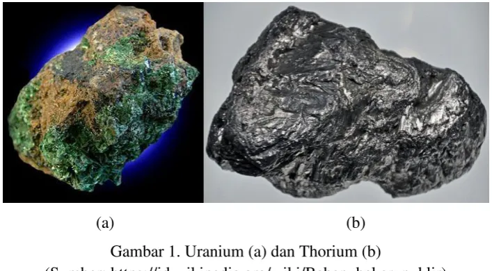 Gambar 1. Uranium (a) dan Thorium (b) 