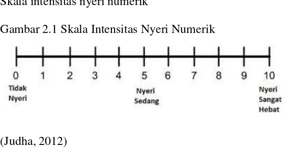 Gambar 2.1 Skala Intensitas Nyeri Numerik 