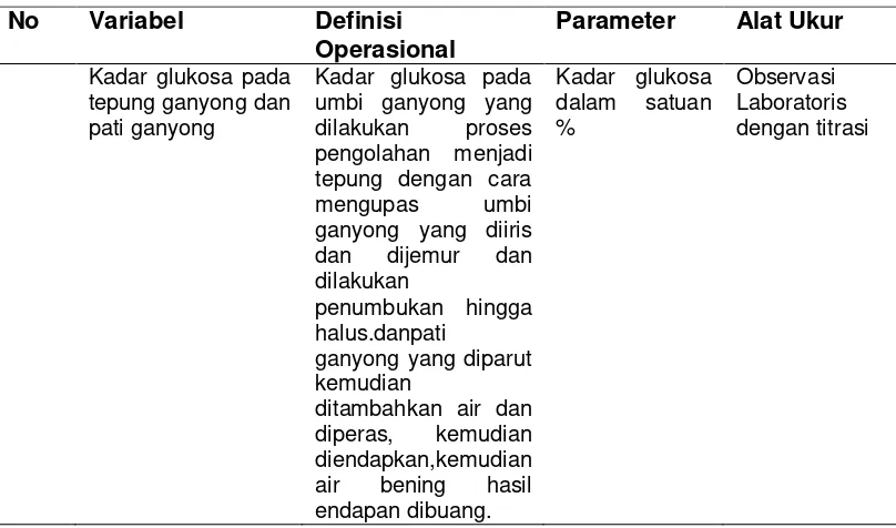 Tabel 4.6 Definisi Operasional Variabel Penelitian 