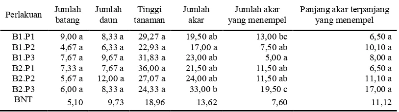 Tabel 4. Rekapitulasi hasil uji BNT pengaruh spesies pohon penopang dan  ketinggian peletakkan tanaman terhadap berbagai variabel pertumbuhan anggrek Dendrobium