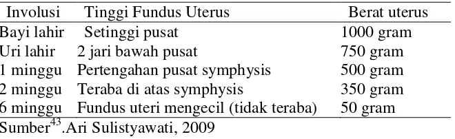 Tabel  2.2 Perubahan involusi uterus 