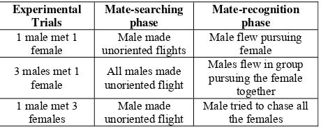 Fig 2: Photographs of behavioral acts of mating byP.peranthus. A) The courtship phase, male (♂) hovering above the female (♀) and repeatedly touching her