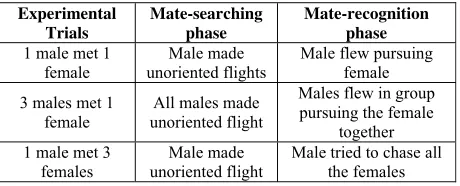 Fig 2: Photographs of behavioral acts of mating byP.peranthus. A) The courtship phase, male (♂) hovering above the female (♀) and repeatedly touching her