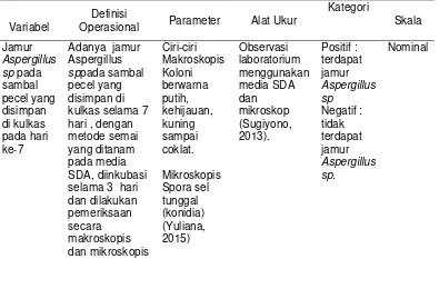 Tabel 4.1 Definisi operasional  variable lidentifikasi jamur Aspergillus sppada sambal pecel yang disimpan di kulkas pada hari ke-7