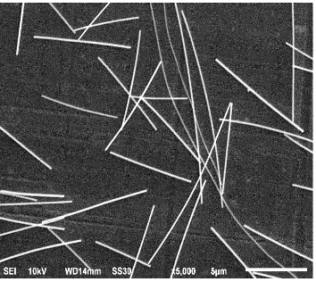 Figure 3.    SEM images of silver nanowires by using PVP.