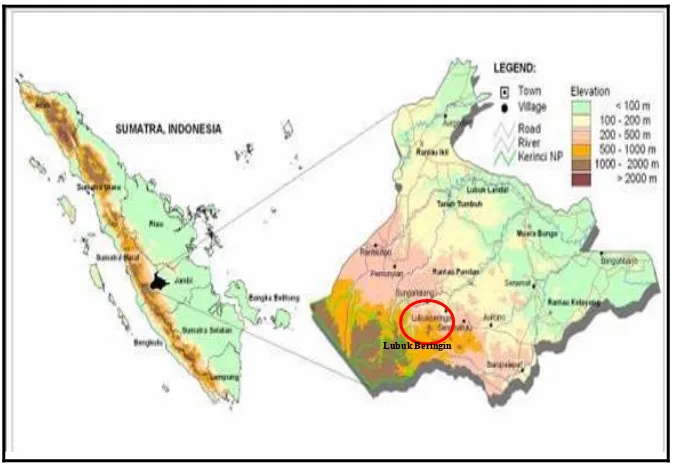 Gambar 3.1 Peta Lokasi Desa Lubuk Beringin di dalam Peta Jambi (ICRAF, 2002 dalam Hariyanto 2007)  