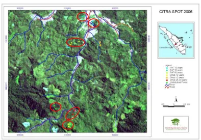 Gambar 3.2 Peta Lokasi Tapak Penelitian di Desa Lubuk Beringin  (ICRAF, 2008) 