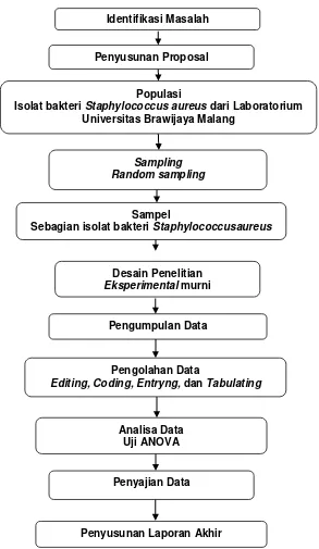 Uji Efektivitas Antimikroba Ekstrak Daun Asam Jawa (Tamarindus Indica ...