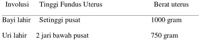 Tabel  2.4  Perubahan involusi uterus 
