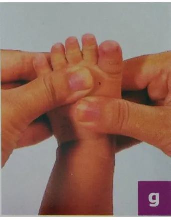 Gambar 2.6 ibu jari dan telapak kaki  