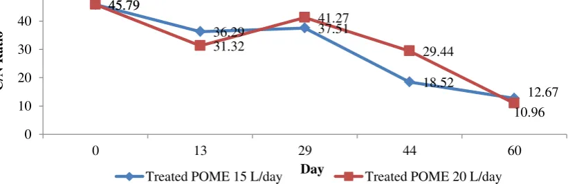 Figure 6. C/N ratio compost from this research 