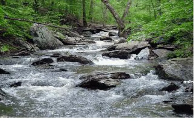 Gambar 7. Ekosistem Sungai (Alfani, 2013) 